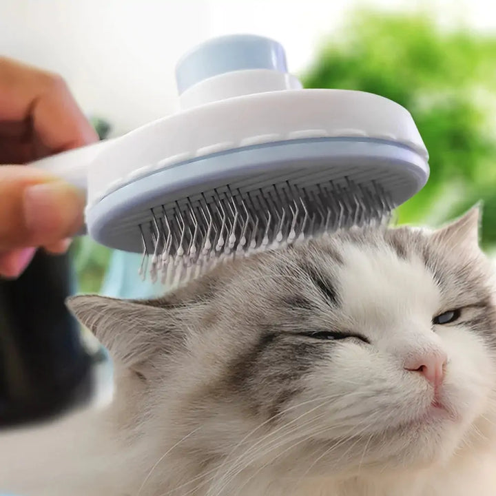 Self Cleaning Pet Brush